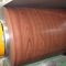 Prepainted Color Steel Coil Wooden Color PPGI / PPGL Steel Coil 0.5mm